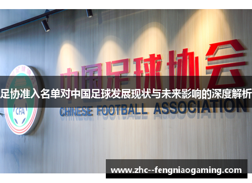 足协准入名单对中国足球发展现状与未来影响的深度解析