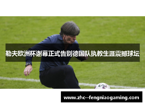 勒夫欧洲杯谢幕正式告别德国队执教生涯震撼球坛