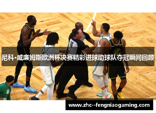 尼科·威廉姆斯欧洲杯决赛精彩进球助球队夺冠瞬间回顾