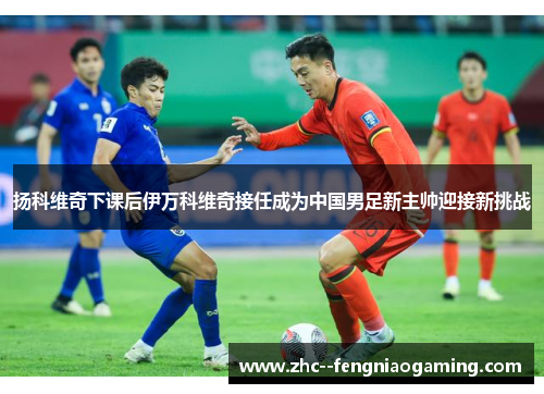 扬科维奇下课后伊万科维奇接任成为中国男足新主帅迎接新挑战