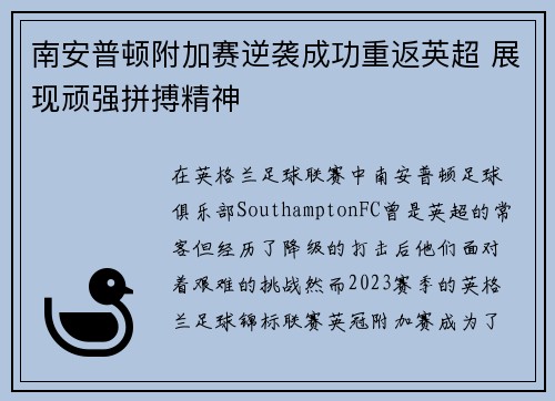南安普顿附加赛逆袭成功重返英超 展现顽强拼搏精神